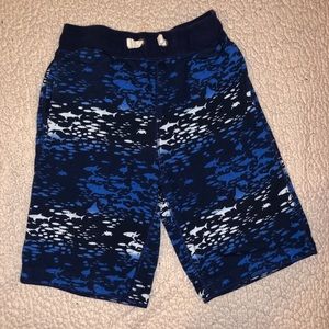 Boy’s Shark Shorts- Gap size 12